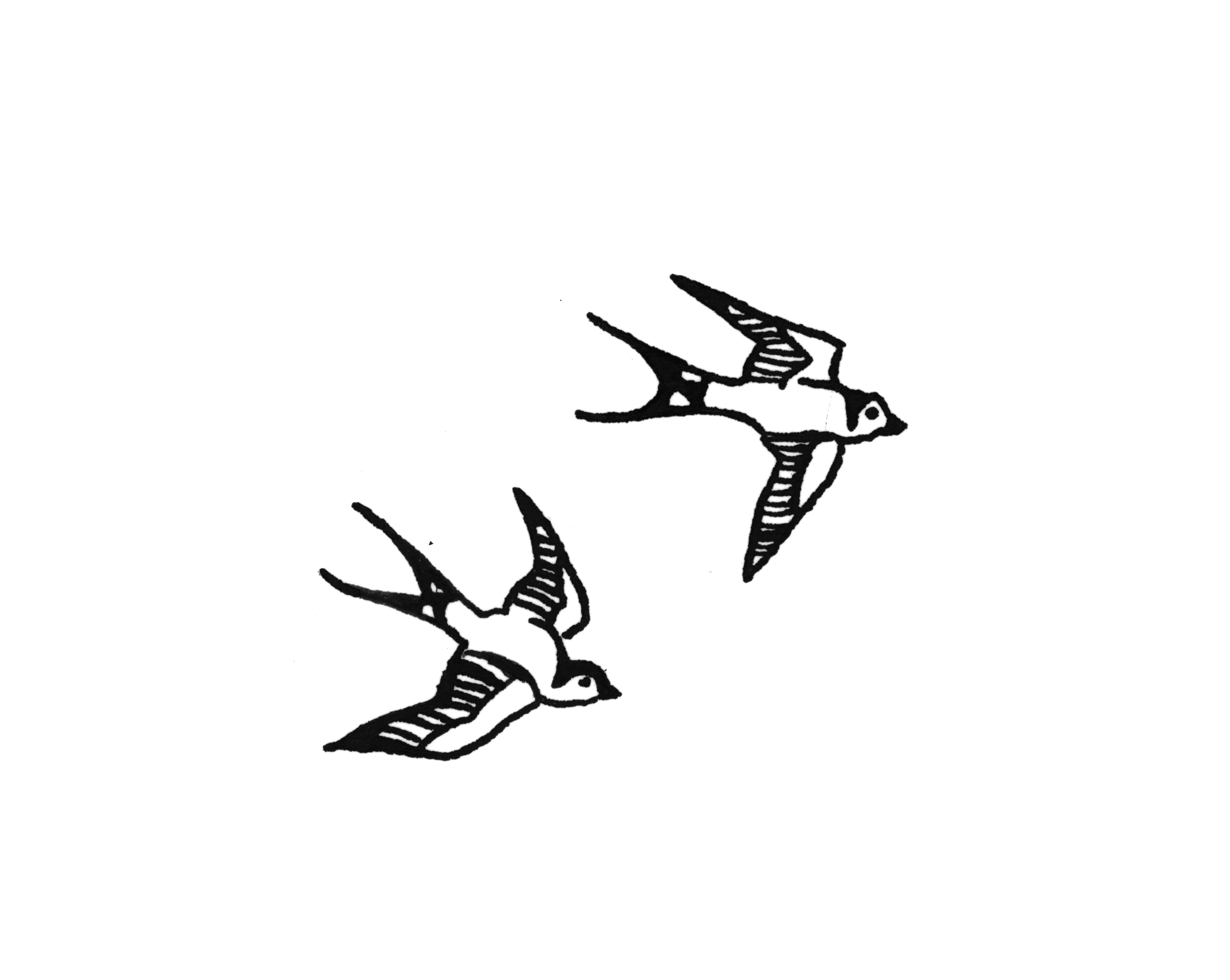 illustration traditionnelle d'hirondelles