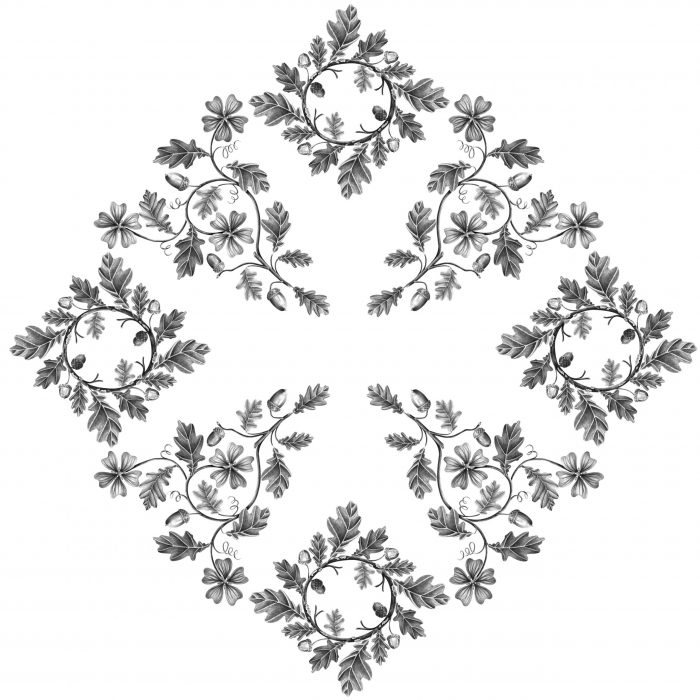 GBRC-dessin_justinejacques